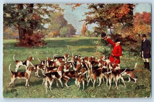 Bavaria Germany Postcard Dogs in the Hunting Field c1910 Oilette Tuck Art