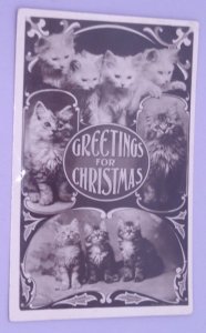 Cats Kittens RPPC Antique Vintage Christmas Real Photo Postcard 2