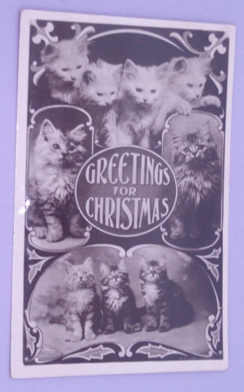 Cats Kittens RPPC Antique Vintage Christmas Real Photo Postcard 2