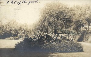 Yard Garden Middletown Connecticut CT Cancel 1909 Real Photo Postcard