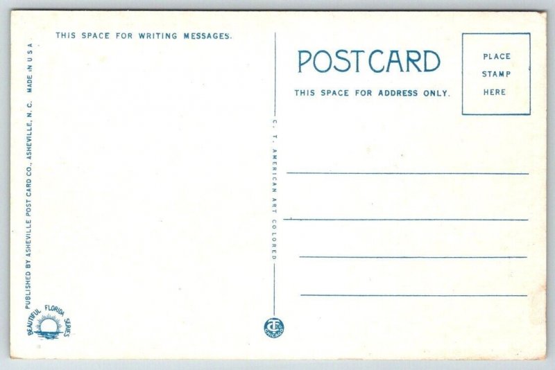 Vintage Florida Postcard - Band Concert  Lake Eola  Orlando