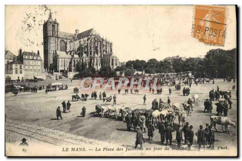 Old Postcard Le Mans Place des Jacobins a walking day Cows