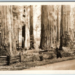 c1940s Garberville, CA Richardson Grove State Park RPPC Redwood Hwy. US 101 A199