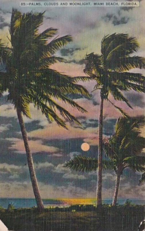 Florida Miami Beach Palms Clouds and Moonlight 1941