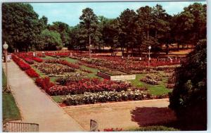 TYLER, Texas TX   Municipal ROSE GARDEN  Rose Day in Spring 1969  Postcard