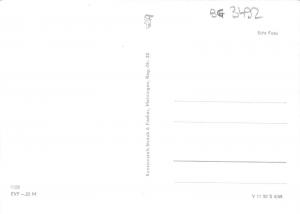 BG3492   friedrichroda i thuringen    CPSM 15x9.5cm germany