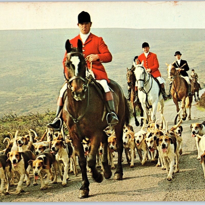 9 Oversized c1970s Exmoor England Cute Beagle Dogs PC Moors Somerset Hunt 1T