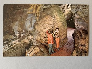 Giant Beehive Howe Caverns Howe's Cave NY Chrome Postcard C1169090121