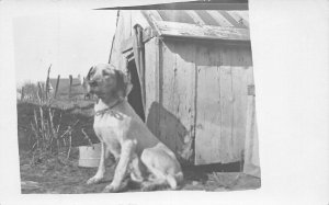 J72/ Interesting RPPC Postcard c1910 Dog House Pet Cute 421