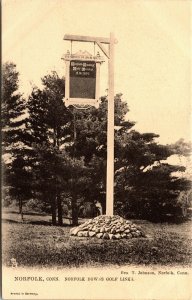 Vtg Connecticut CT Norfolk Downs Golf Course Links Sign pre-1908 Tuck Postcard