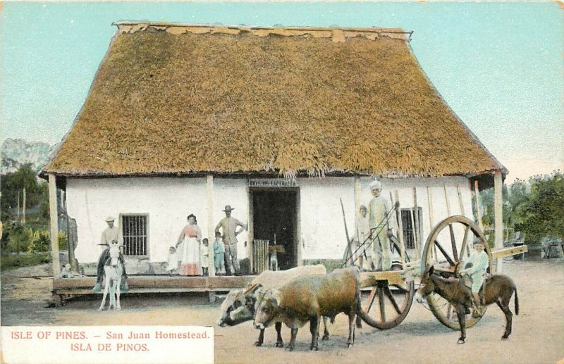 c1907 Printed Postcard; Isle of Pines Cuba , San Juan Homestead Ox Cart & Home