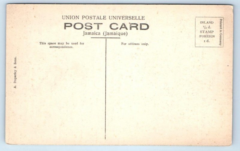 JAMAICA ~ Scene on the COBRE RIVER c1910s Hand Colored Postcard