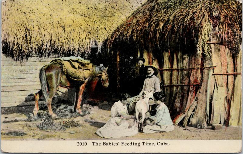 Cuba The Babies Feeding Time Child Goat Family UNUSED Postcard E51