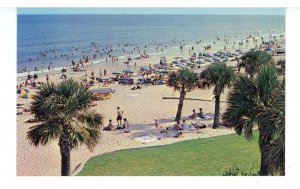 SC - Myrtle Beach. Swimmers & Sunbathers