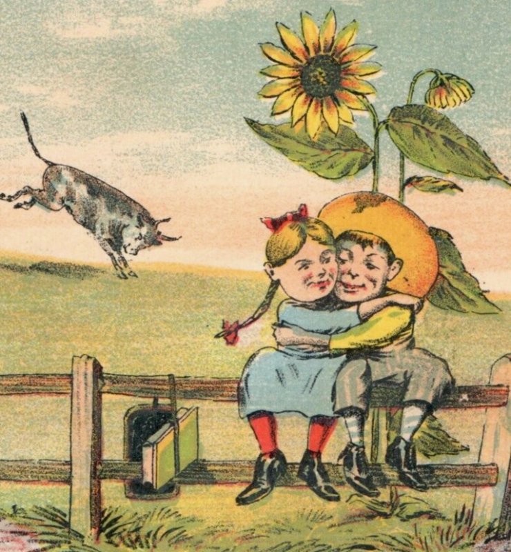 1880s Tobin Illustration Victorian Trade Card Children Bull Sunflower F132