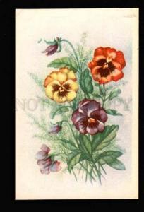 051518 PANSY Bouquet Style KLEIN vintage PC