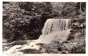 Watauga Falls - Delhi, New York NY  