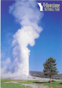 Yellowstone National Park Wyoming Old Faithful Geyser 4 by 6