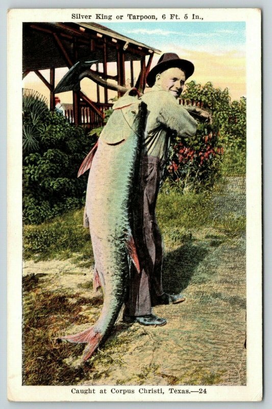 Corpus Christi Texas~6 Ft Silver King~Tarpon Fisherman Slings Over Shoulder~1920
