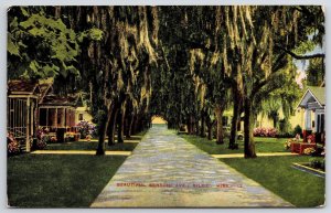 1953 Benachi Avenue Biloxi Mississippi Archway & Trees Grounds Posted Postcard