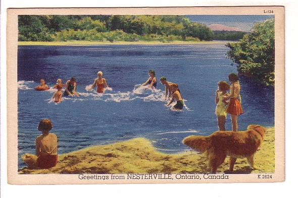 People Splashing in Lake, Dog on Shore, Greetings from Nesterville, Ontario, 