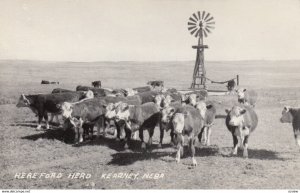 RP: KEARNEY , Nebraska , 30-40s ; Hereford Herd