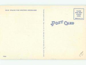 Linen Black Americana GRIZZLY BEAR CHASING AC0555