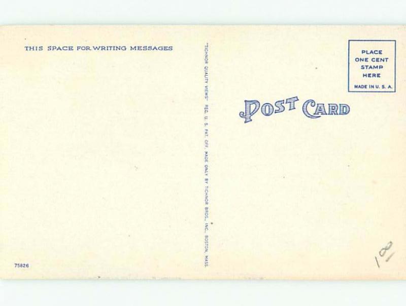 Linen Black Americana GRIZZLY BEAR CHASING AC0555