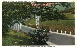 Vintage Postcard Beauty Spot Along Taconic Trail Easter Side & Petersburg NY