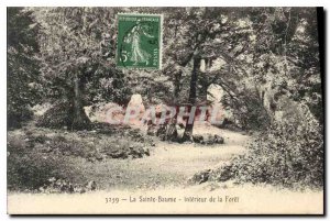 Old Postcard La Sainte Baume Interior de la Foret