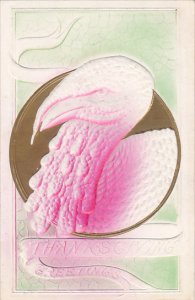 Thanksgiving Greetings Turkey Embossed 1909