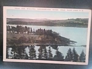 Postcard  Near The Willows, Kennebecasis River, Saint John, Nova Scotia  Z4