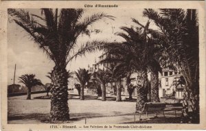 CPA Dinard Les Palmiers de la Promenade Clair de Lune (1236193)