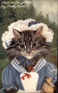 Tuck CAT STUDIES SIGNED GL BARNES Pretty Maid DRESSED CATS FANTASY PC