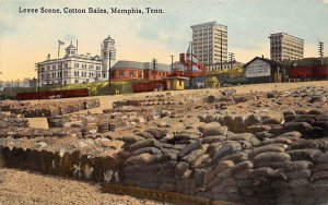 Levee Scene  Cotton Bales Memphis TN