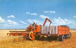 Harvest Time on the Western Plains 1910 