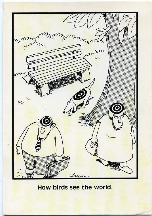 How Birds See the World Humor - Cartoon - pm 1986