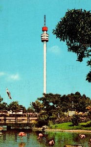 California San Diego Sea World Mission Bay PSA Tower 1971