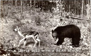 RPPC, Animals LITTLE DEER With A BEAR CUB Behind 1938 LL Cook Co Photo Postcard