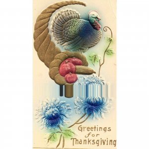 Greetings For Thanksgiving Holiday Postcard