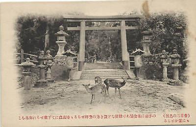 japan, Unknown Shrine Gate, Torii, Deer (1910s)