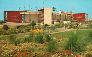 Vintage Postcard  The Oceanarium Marineland of the Pacific San Pedro California