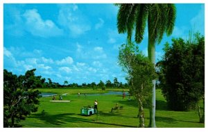 Florida  Naples -on-the-Gulf , Beach Club's Hotel Golf Course