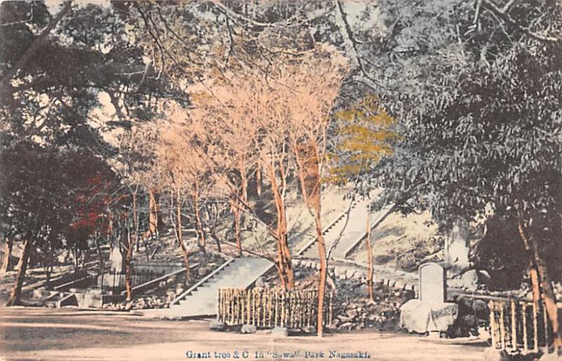 Japan Old Vintage Antique Post Card Grant tree & C Suwall Park Nagasaki Writi...