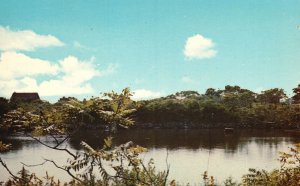 Postcard Bakers Island Looking Southwest At Fresh Water Pond Salem Massachusetts