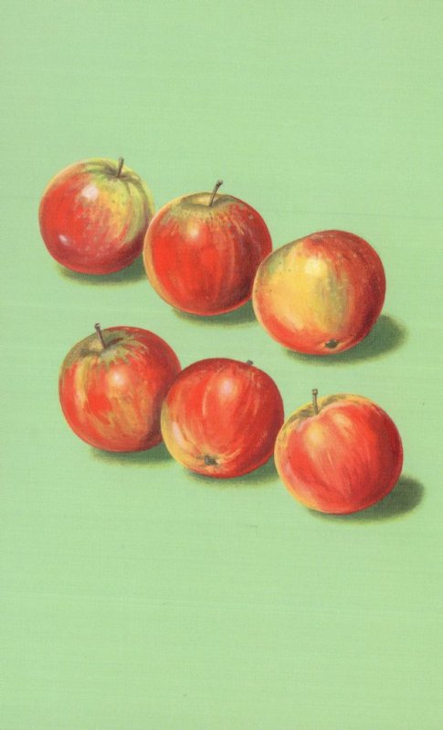 Bunch Of Apples Fruit Childrens Old Ladybird Book Postcard