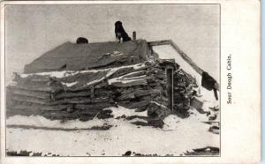 ALASKA Somewhere-  SOUR DOUGH Rustic LOG CABIN DOG on ROOF  c1900s Postcard