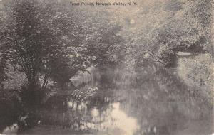 Newark Valley New York Trout Pond Waterfront Antique Postcard K89193