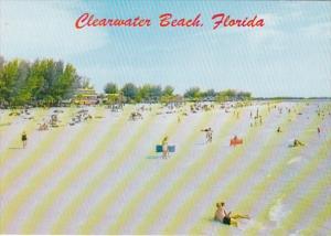 Florida Clearwater Beach View Of Beach Looking South