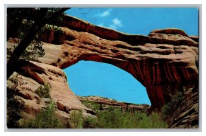 Postcard UT Natural Bridges National Monument Sipapu Bridge Utah 